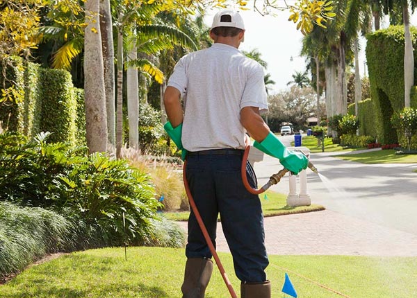 About Aitkin MN Pest Control
